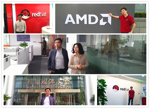 格萊科技攜手格梵科技，深化上游溝通對接，探索產業協同新范式